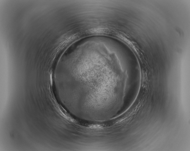 X0000113340061200909151139
