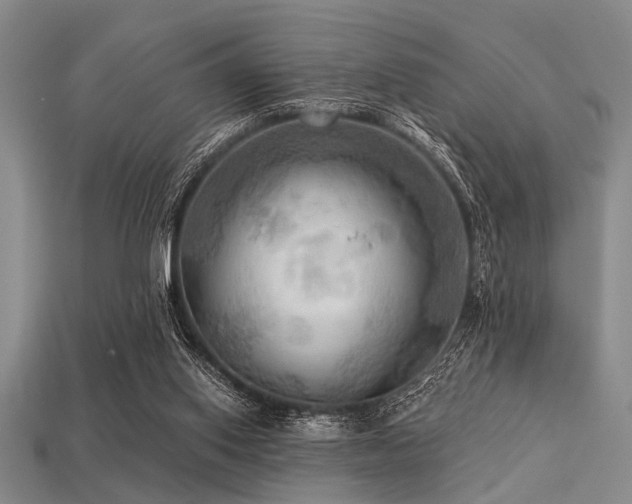X0000113340062200909151139