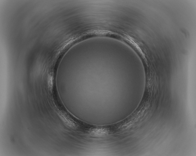 X0000113340063200909151139