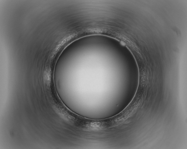 X0000113340064200909151139