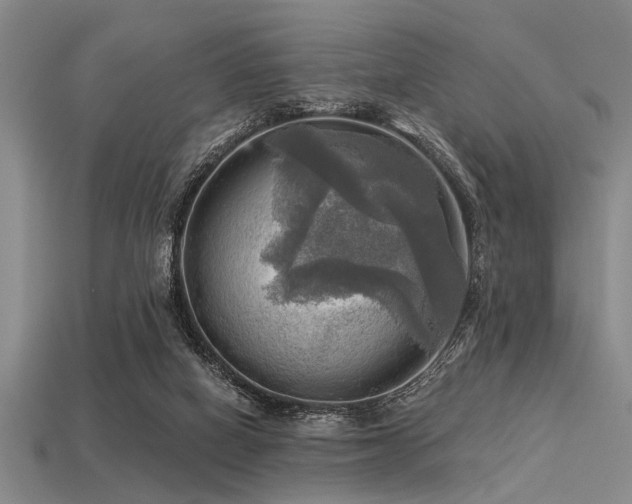 X0000113340066200909151139