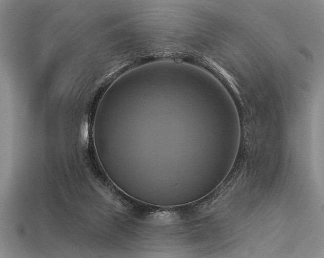 X0000113340067200909151139