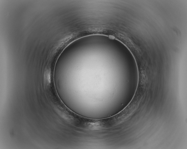 X0000113340068200909151140