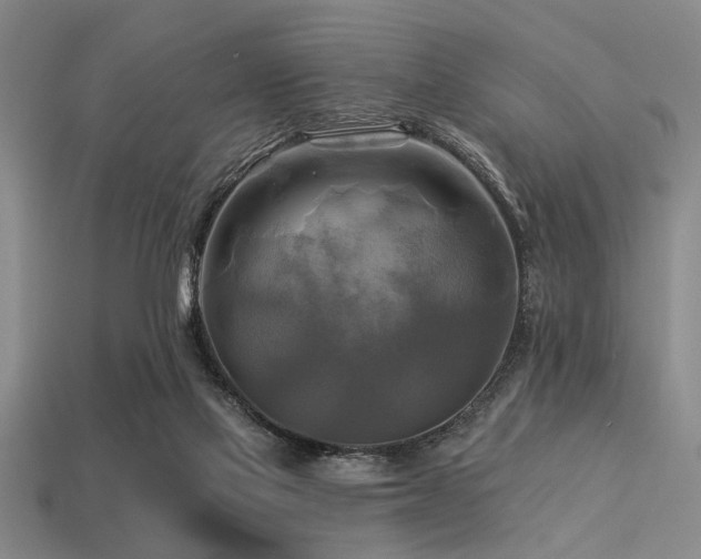 X0000113340069200909151140