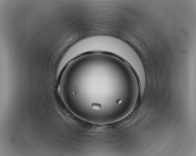 X0000113340072200909151140
