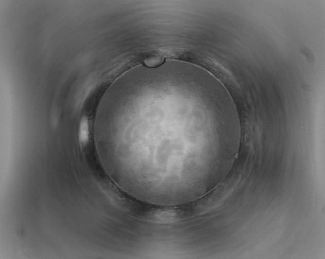 X0000113340075200909151140