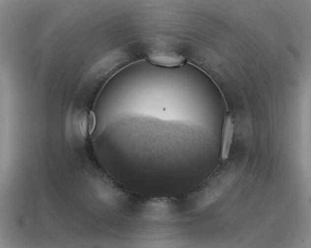 X0000113340076200909151140