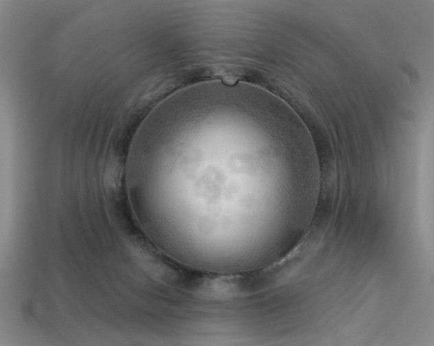 X0000113340078200909151140