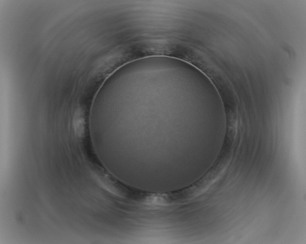 X0000113340080200909151140