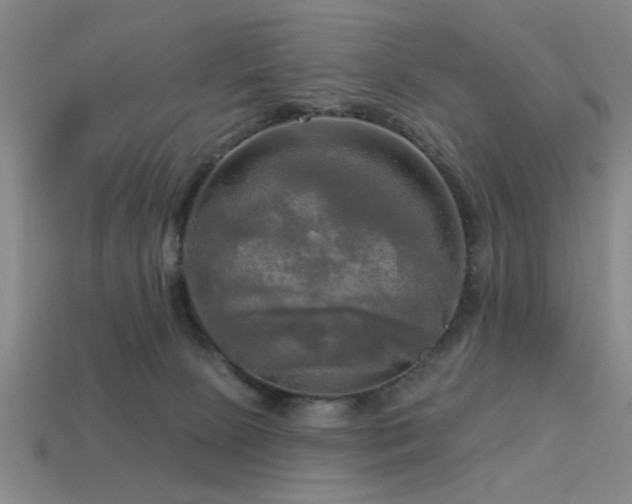 X0000113340081200909151140