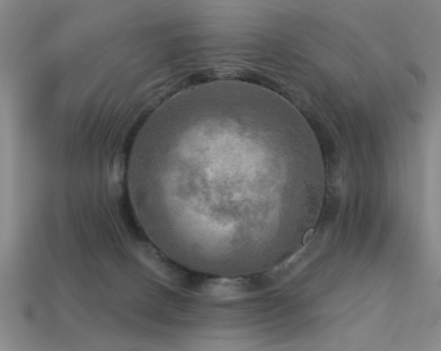 X0000113340082200909151140
