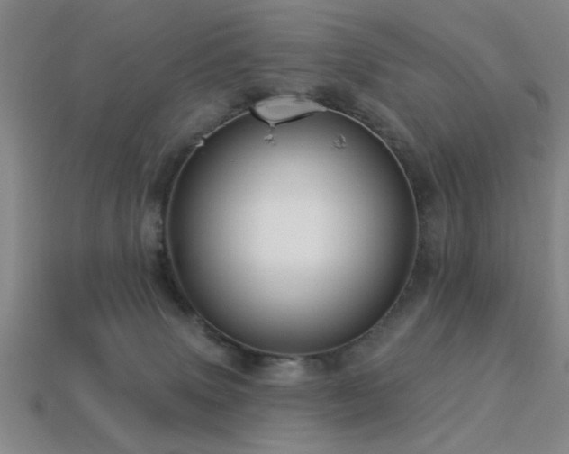 X0000113340083200909151140