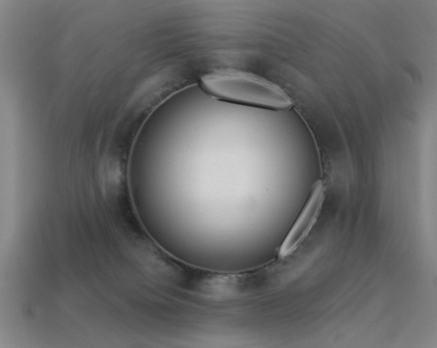 X0000113340084200909151140