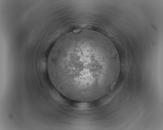 X0000113340085200909151140
