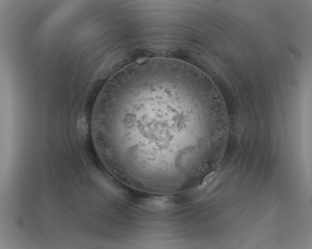 X0000113340086200909151140