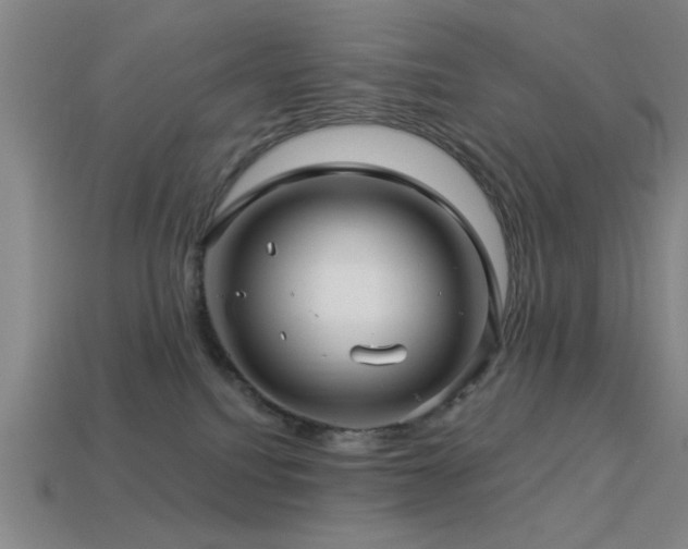 X0000113340088200909151140