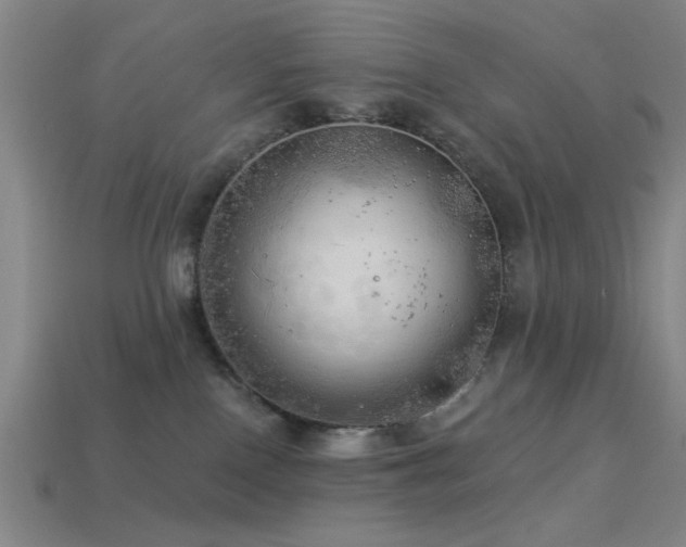 X0000113340090200909151140