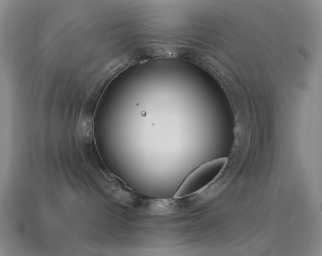 X0000113340096200909151140