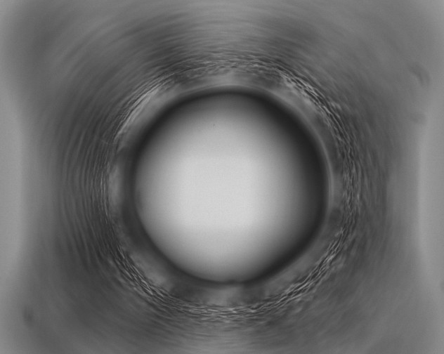 X0000113340098200909151139