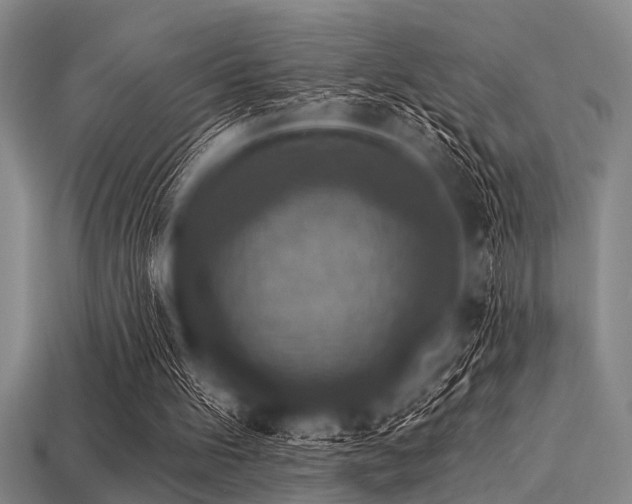 X0000113340100200909151139