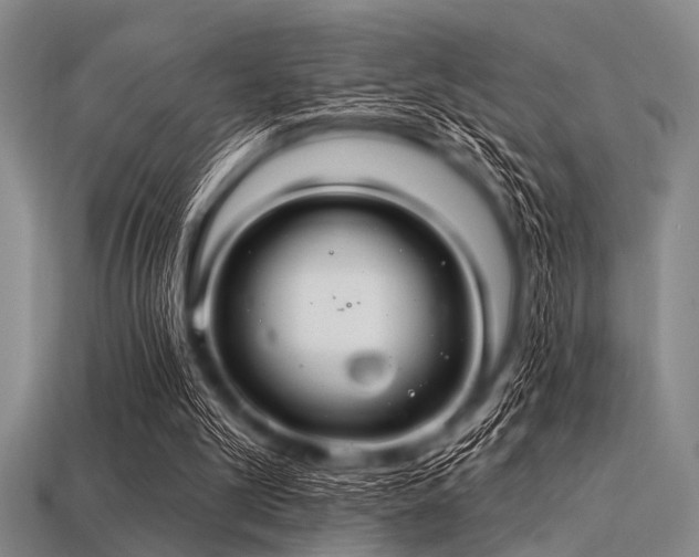 X0000113340101200909151139