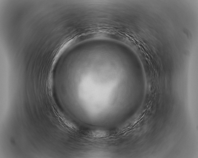 X0000113340102200909151139