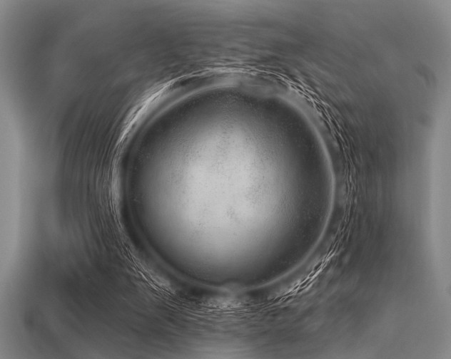 X0000113340103200909151139