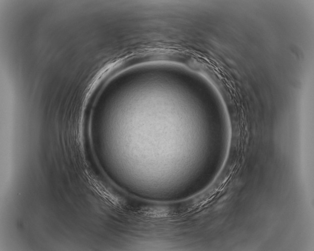 X0000113340104200909151139
