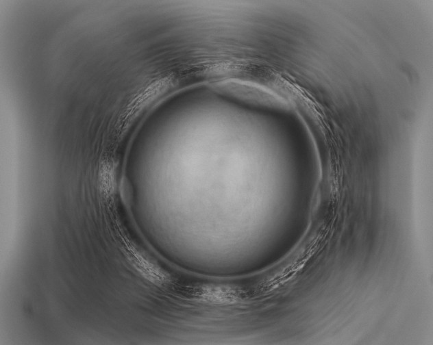 X0000113340105200909151139