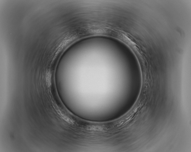 X0000113340106200909151139