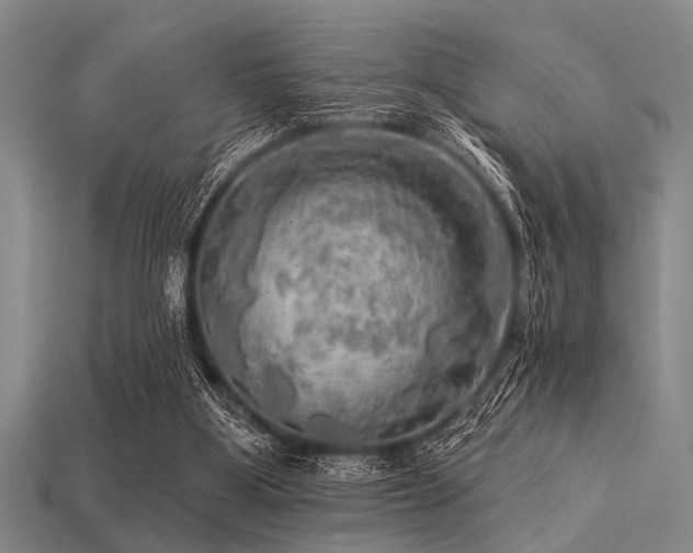X0000113340107200909151139