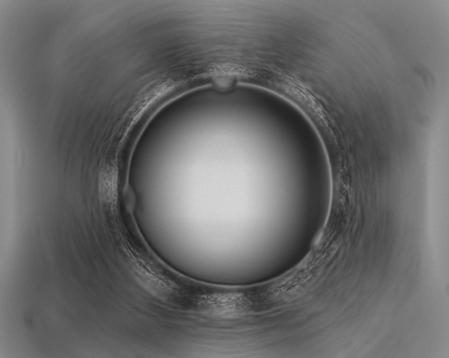 X0000113340108200909151139