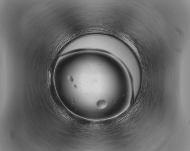 X0000113340109200909151139