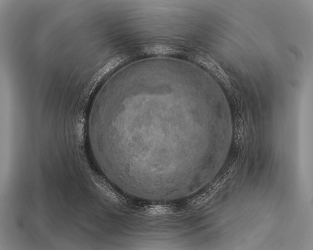 X0000113340111200909151139
