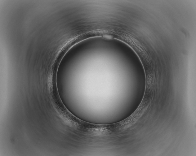 X0000113340112200909151139