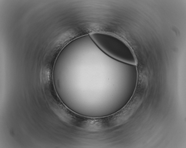 X0000113340117200909151139