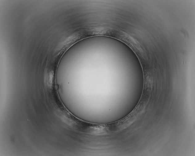 X0000113340118200909151139