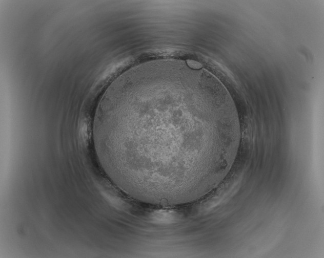 X0000113340119200909151139