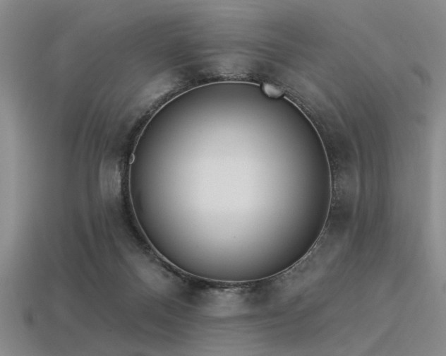 X0000113340120200909151139