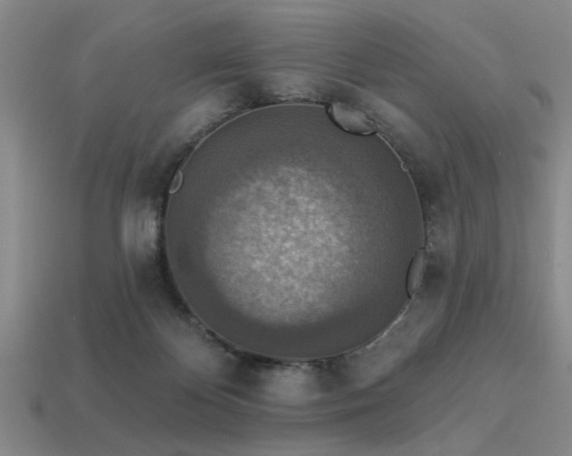 X0000113340124200909151139