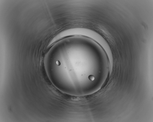 X0000113340125200909151139