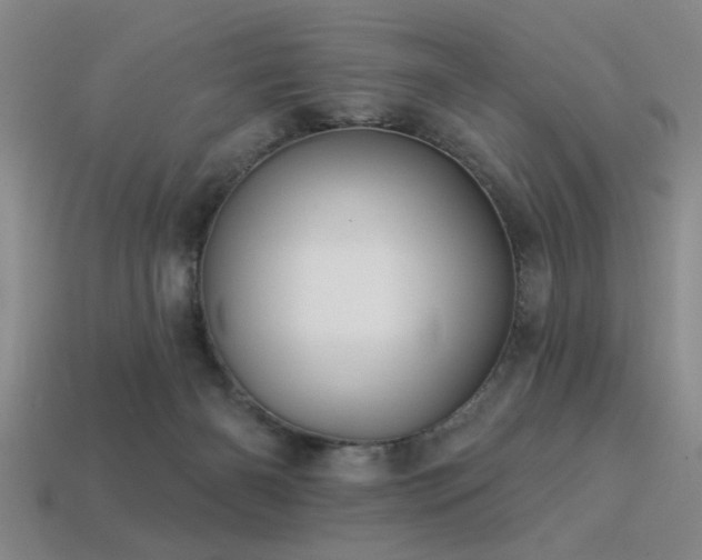 X0000113340126200909151139