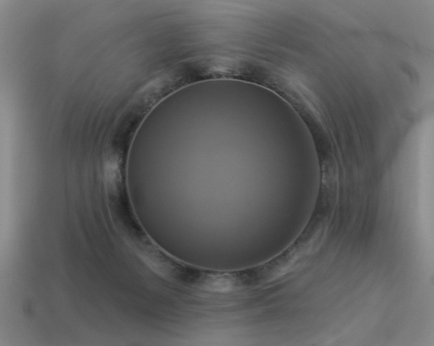X0000113340127200909151139