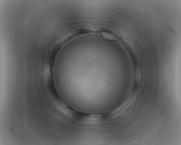 X0000113340128200909151139