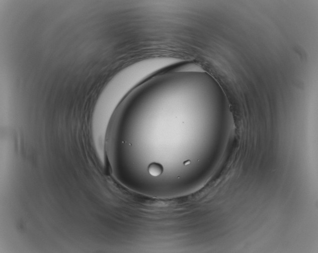 X0000113340129200909151139