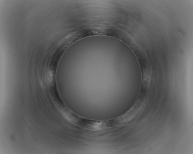 X0000113340130200909151139
