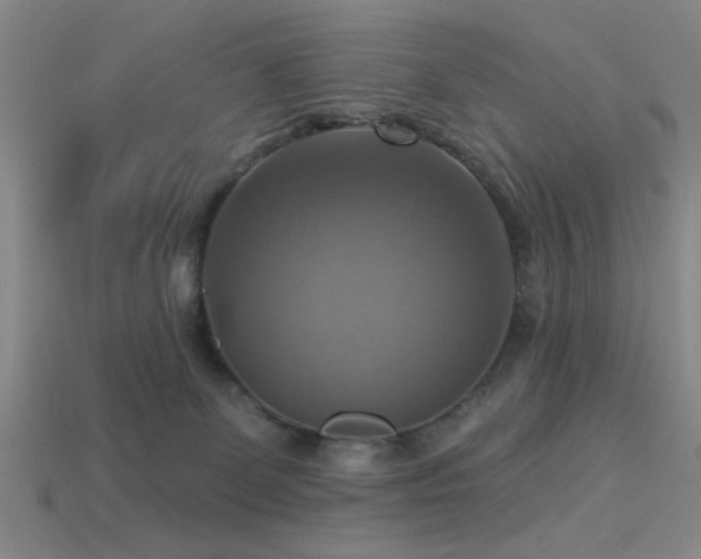X0000113340131200909151139