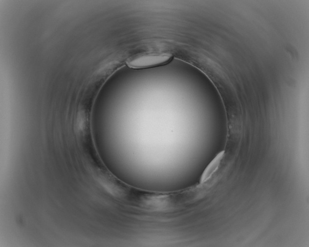 X0000113340132200909151139