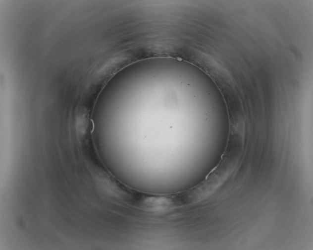 X0000113340133200909151139