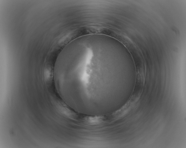 X0000113340134200909151139